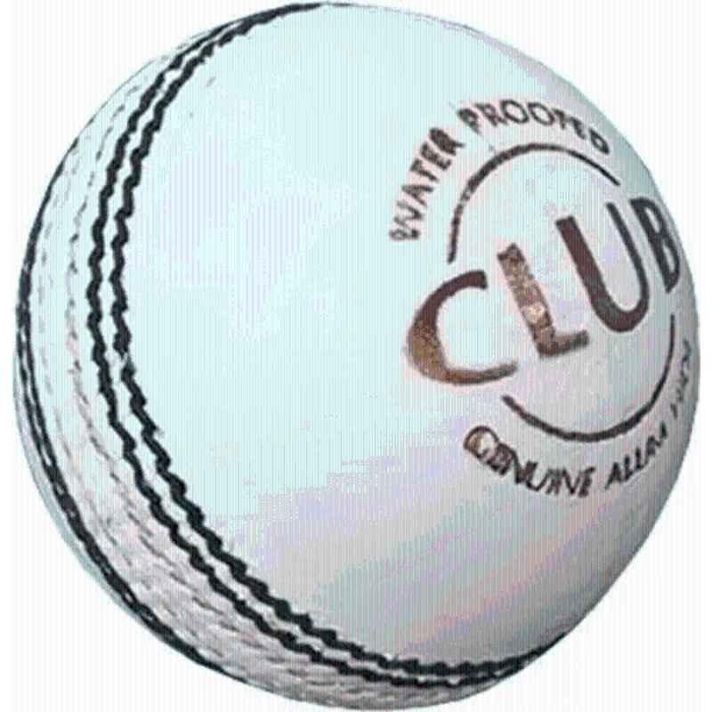 Hretails Club White Leather Cricket Ball (Pack of 2 )