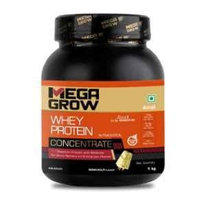 Buy Whey Protein powder online - BigMuscles Nutrition Premium GoldWhey