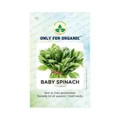 Only For Organic 50g Baby Spinach Seed for Agriculture