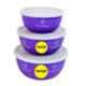 Sempl 3 Pcs Flora Stainless Steel & Plastic Velvet Grocery Container Set with Lid