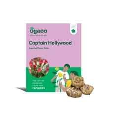 Ugaoo 100g Flower Calla Lily Captain Hollywood Bulbs, NUFBO086