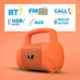 Zebronics Zeb-County 3 3W Orange Mono Bluetooth Speaker