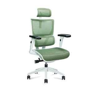 Assiento Ecstasy Pro+ Leather Green High Back Mesh Office Chair