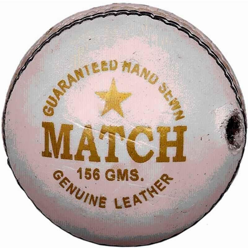 QUIT-X 7.62cm Standard Red Special Edition Hanging & Knocking Cricket Training Ball
