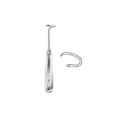Alis 17.5cm/ 7 inch Raspatories Doyen Children Right, A-GEN-629-17