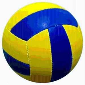 HTM Blue & Yellow PVC Volleyball, Size: 4