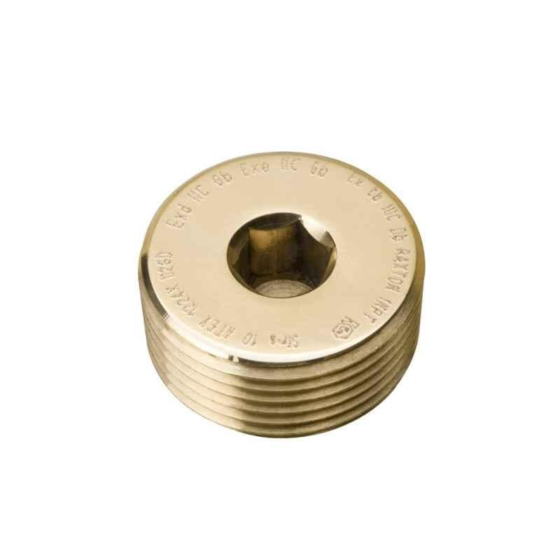 Raxton M32 Brass Male Thread RX Stopping Plug, CBA1400A