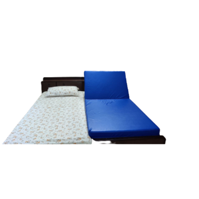Yes Kay Healthy Jeena Sikho 27x33x5 inch Powder Coated Motorised Recliner Bed with Mattress