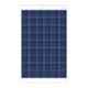 Bluebird 250W 24V Polycrystalline Solar Panel, BBS24F250