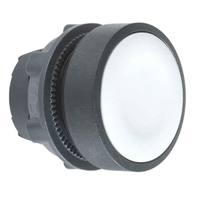 Schneider 22mm Round Spring Return Grey Flush Head for Non-Illuminated Push Button, ZB5AA8