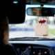 GFX IP-007A 30g Absolute Organic Air Freshener for Car