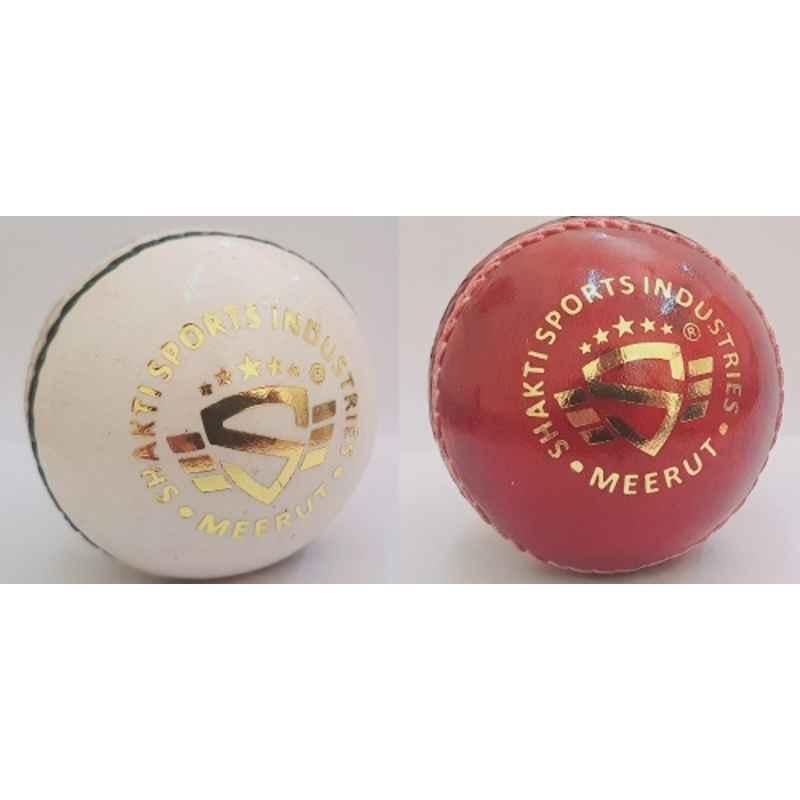 CricketX Leather Cricket Ball (Pack of 2)