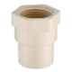 Astral CPVC Pro 32mm Female Adaptor with CPVC Threads, M512111603