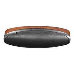 Zebronics Vogue Black 4.2 Bluetooth Portable Speaker