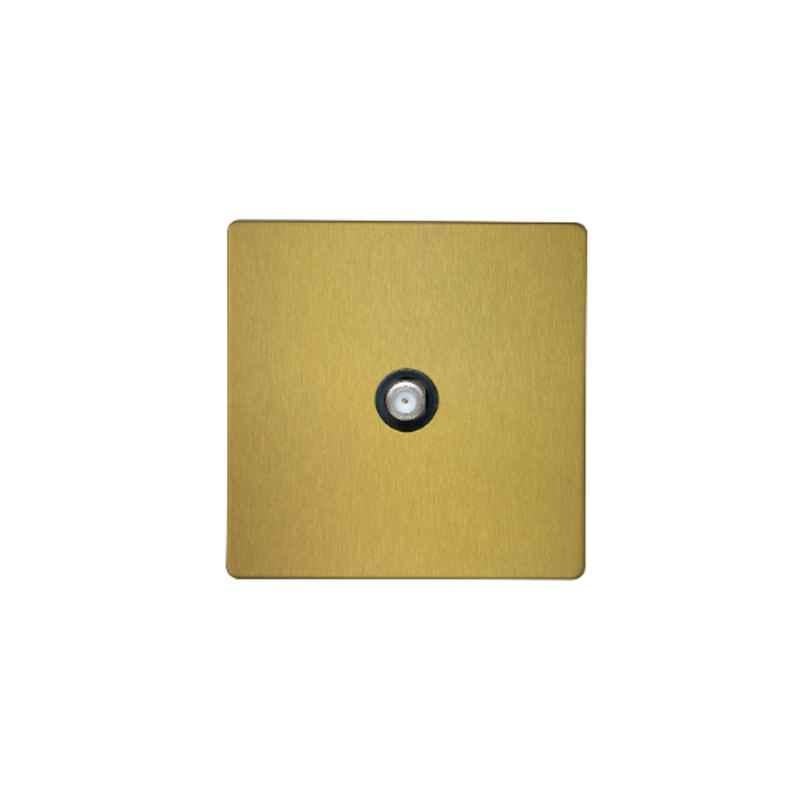 RR Vivan Metallic Brushed Gold 1-Gang Satellite Socket Outlet with Black Insert, VN6684M-B-BG