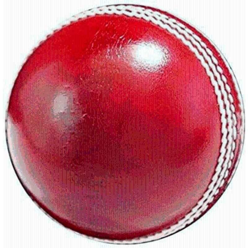 HHS Sports Red Premium Cricket Leather Ball