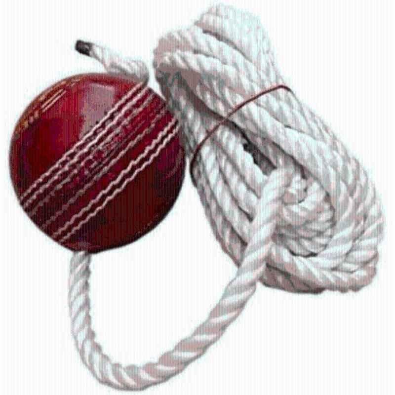 House of Common SP02 Red Cricket Leather Hanging Ball for Practice