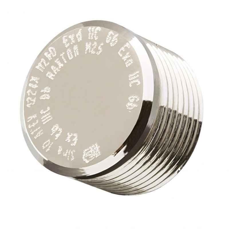 Raxton M75 Mild Steel Male Thread Tamperproof Stopping Plug, CFC1800A