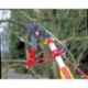 Wolf Garten 36mm Professional Bypass Tree Lopper, RR-VM