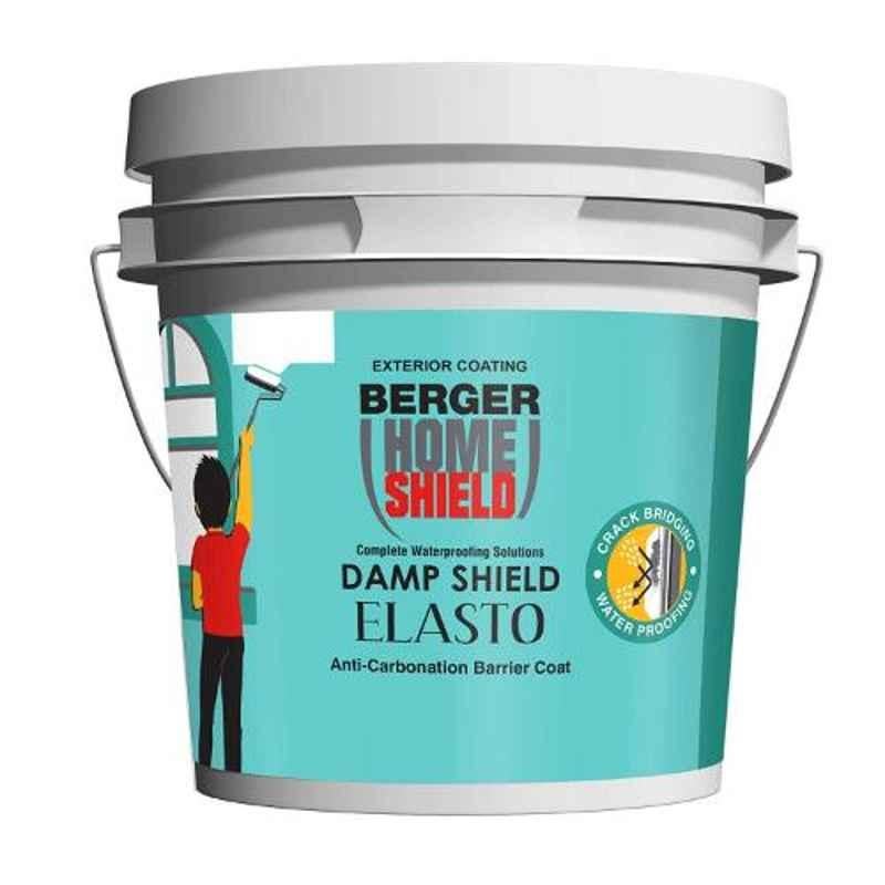 Berger 20L Plastic White Home Shield Damp Shield Elasto, F00KC80991020000