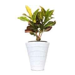 Blume Colosseum 10 inch White Stone Plastic Flower Pot