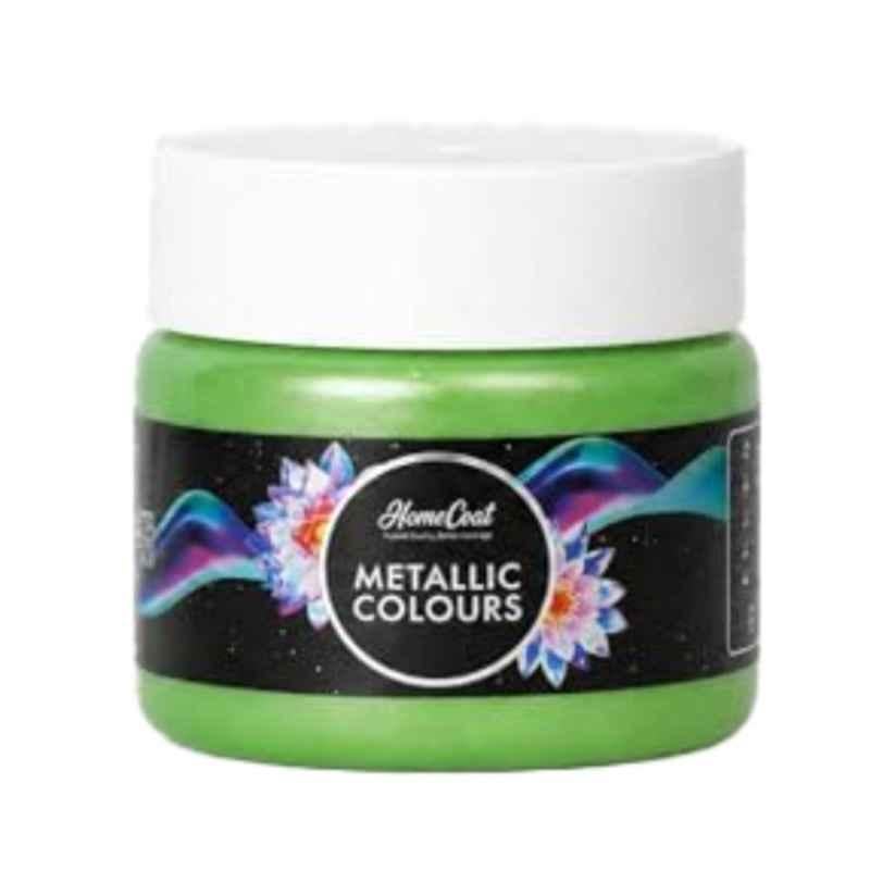 WinnerOne HomeCoat 100ml Green Apple Acrylic Pearl Colour, PC 111 (Pack of 3)