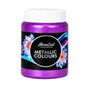 WinnerOne HomeCoat 500ml Purple Acrylic Pearl Colour, PC 119 (Pack of 2)