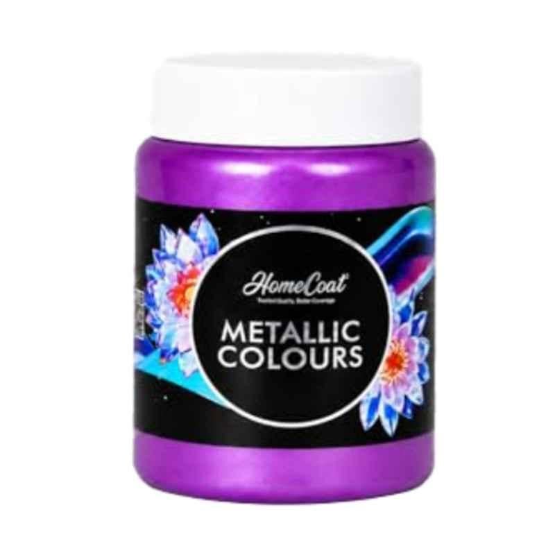 WinnerOne HomeCoat 500ml Purple Acrylic Pearl Colour, PC 119 (Pack of 2)