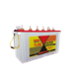 Exide Tube Master 150Ah Tall Tubular Inverter Battery, TMTT1500