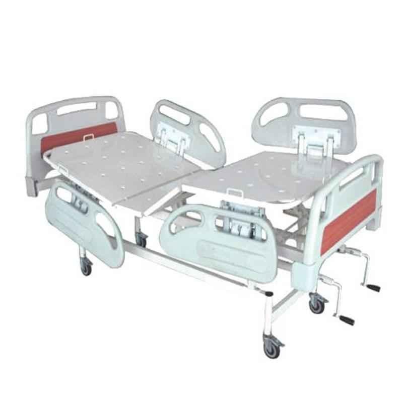 Wellton Healthcare Fowler Type Hospital Bed with ABS Panel, WH-505