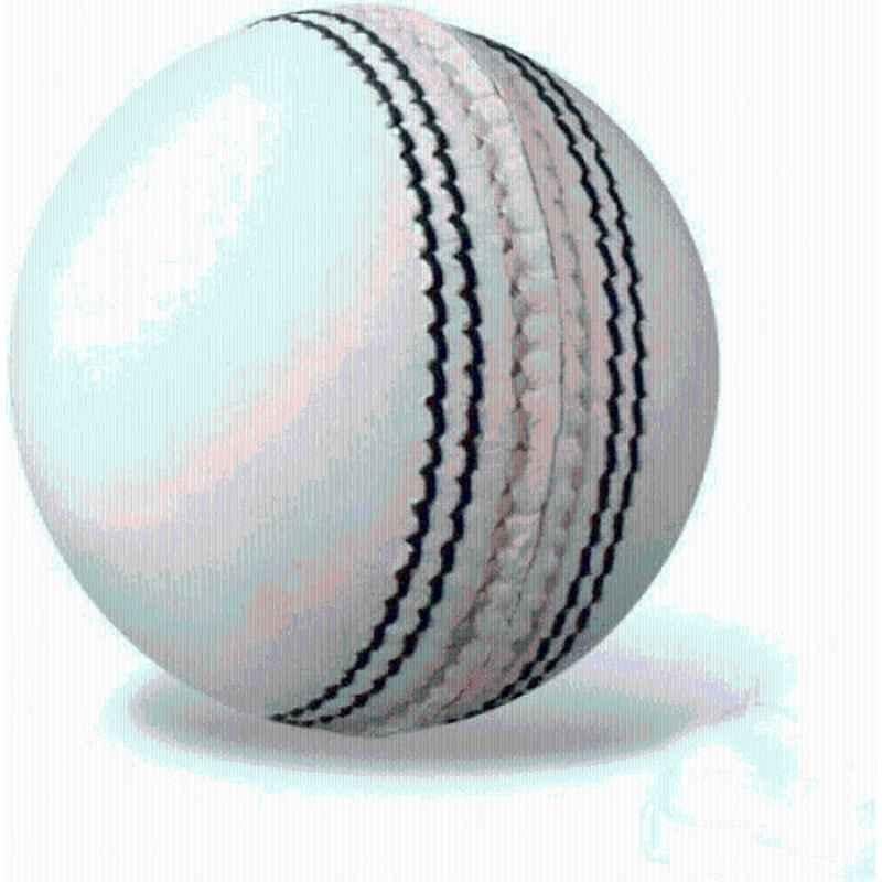 Meta World White Leather Cricket Ball