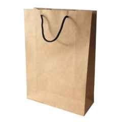 PRB Bags Brown Kraft Paper Bag with Cord Handle (Pack of 10)