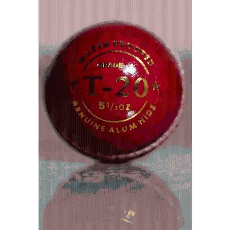 Cricket Kingdom T-20 Red Leather Cricket Ball