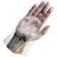 Spartan Transparent Poly Gloves, Latex Glove-100 (Pack of 100)