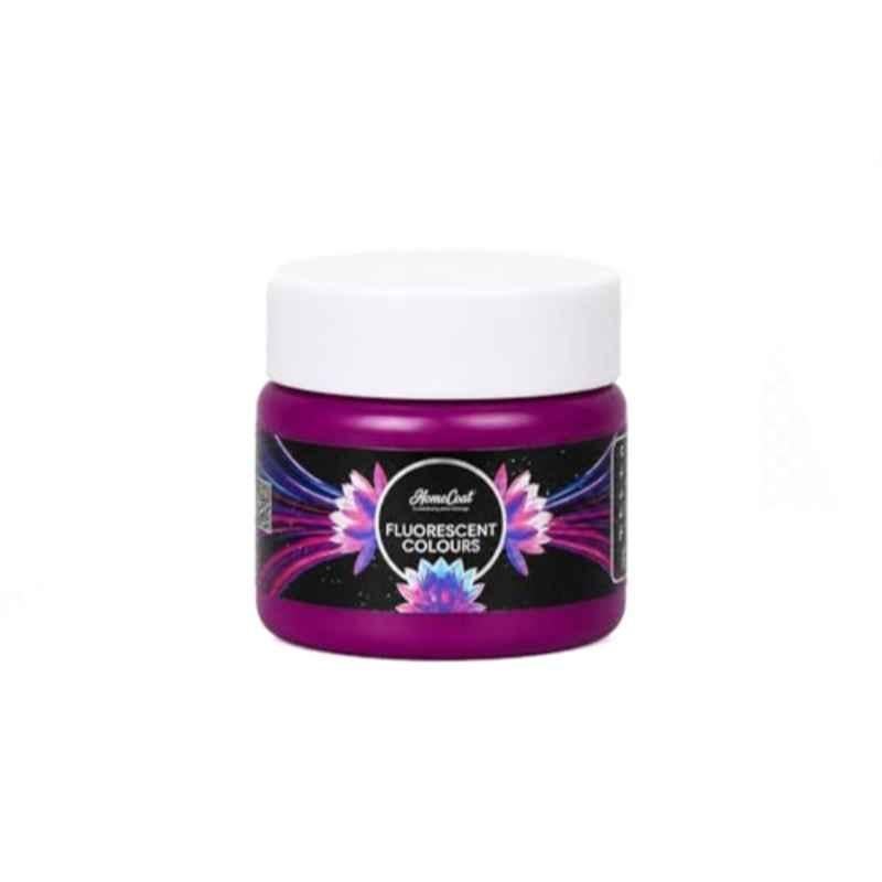 WinnerOne HomeCoat 100ml Purple Fluorescent Colour, FC216 (Pack of 3)