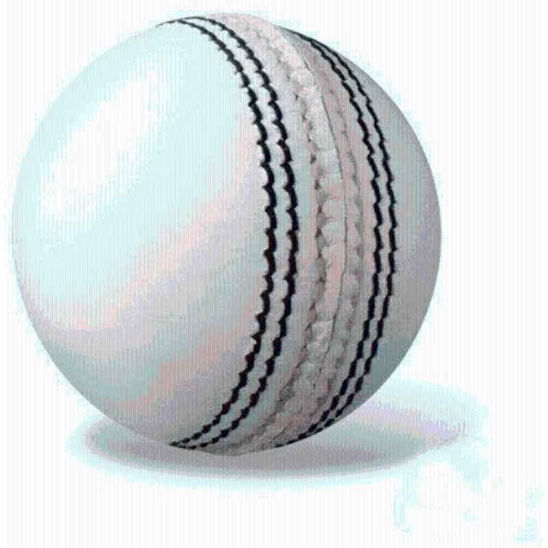 APPSS Sports White Cricket Leather Ball