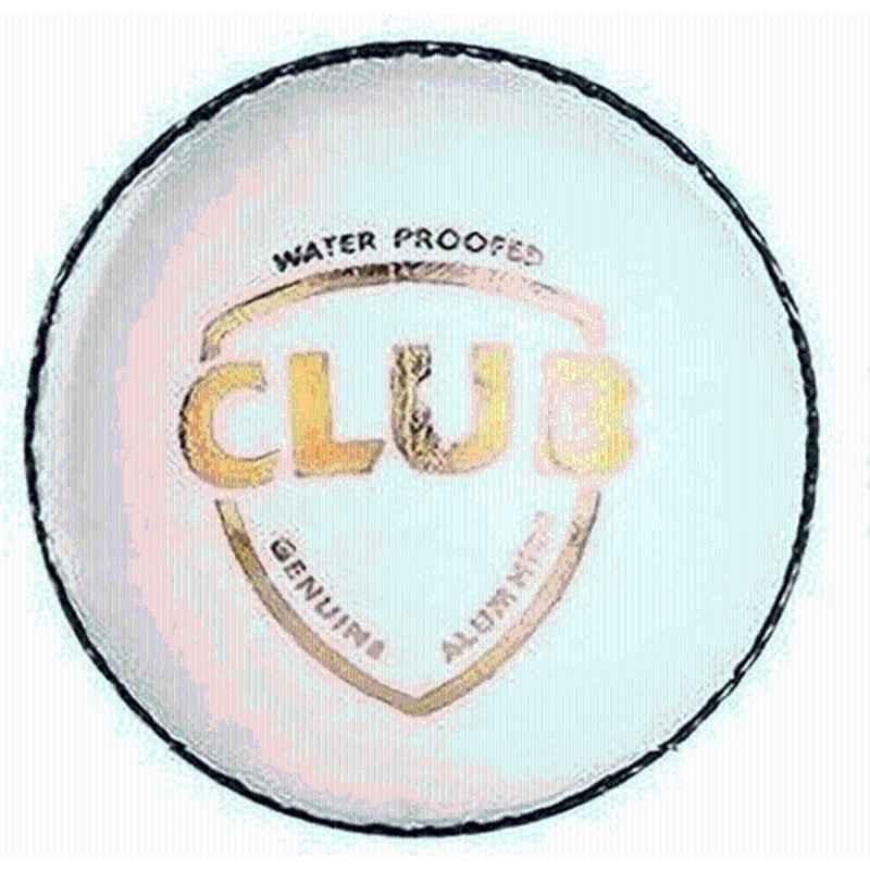 HTM Club Standard Hand Stitched Cricket Leather Ball (Pack of 2)