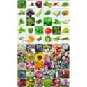 product_img