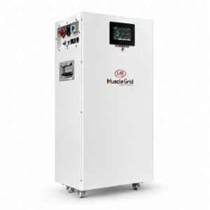 Muscle Grid 314Ah 51.2V LiFePO4 Solar Battery with 8000+ Battery Life Cycle & 5 Years Warranty, WY-A1X4-YYYK