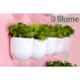Blume Bubble 5.7 inch Plastic White Hanging Planter, BBS-WT-6 (Pack of 6)
