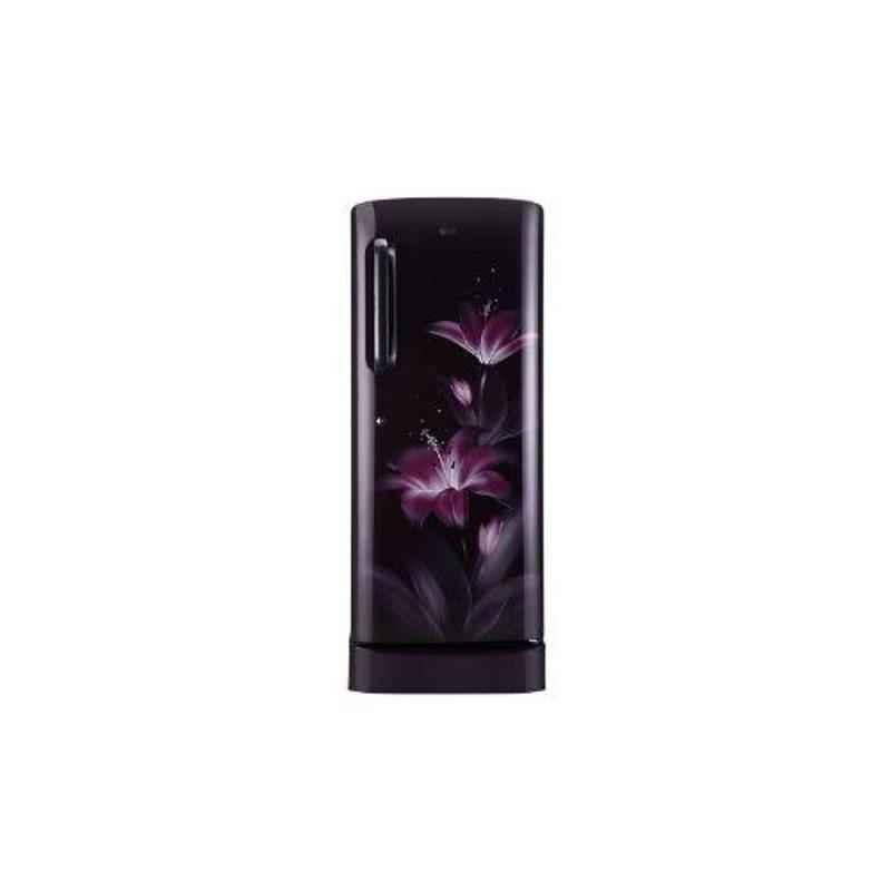 LG 235L 5 Star Purple Glow Smart Inverter Refrigerator, GL-D241APGY