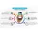Time Office Black Fingerprint & Cloud Based Attendance Machine with Finger, Card & Battery, Z305