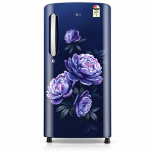 LG 185 Litre 3 Star Royal Glory Direct Cool Single Door Refrigerator, GLD1936YARG.ARGZEBN