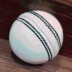 HTM White Standard Cricket Leather Ball