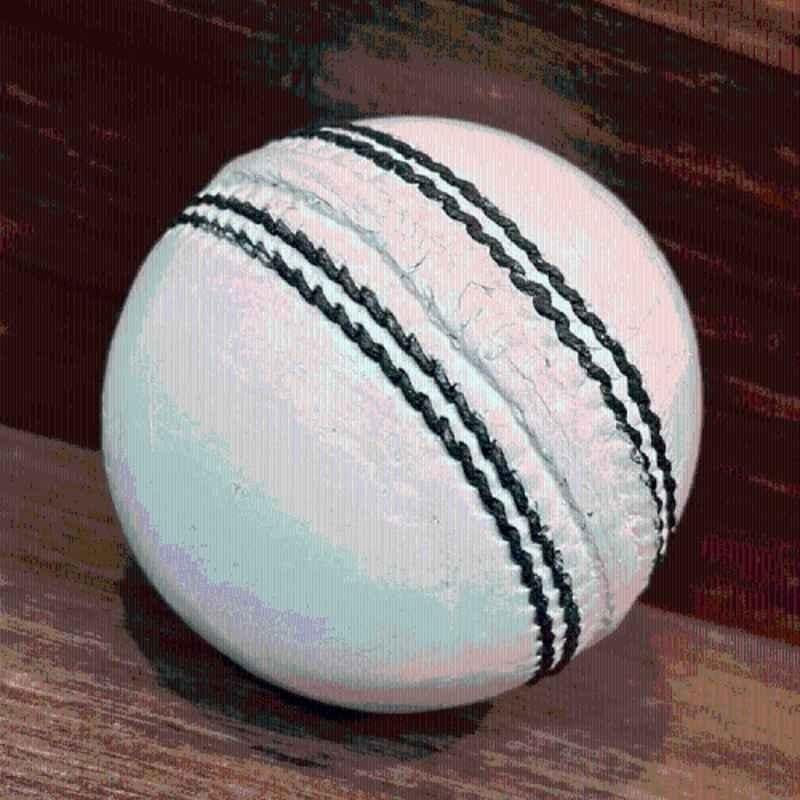 HTM White Standard Cricket Leather Ball