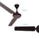 Hindware Thriver 60W Brown Ceiling Fan, 519564, Sweep: 1200 mm