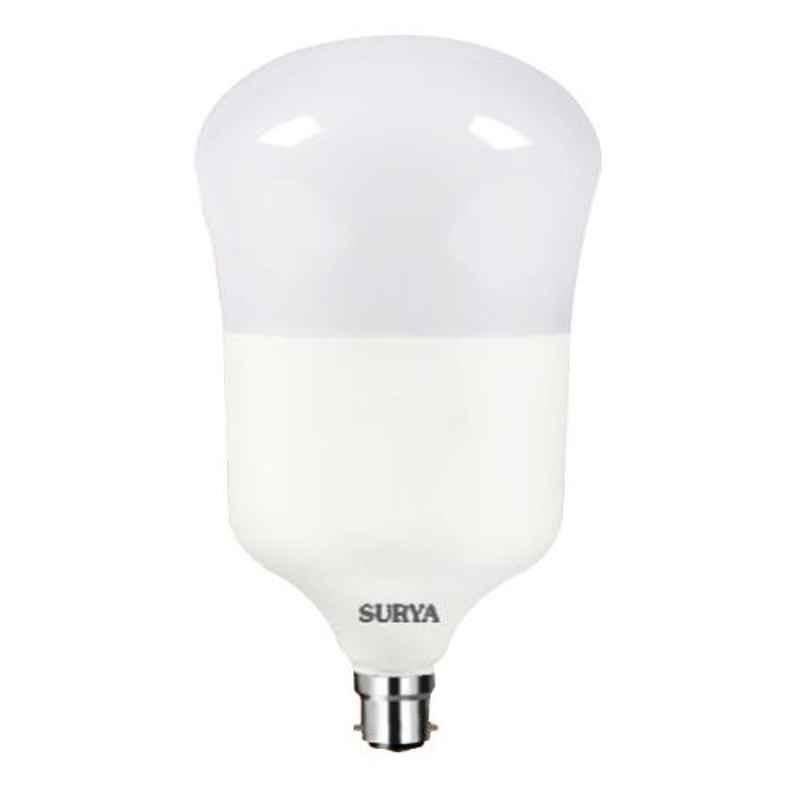 Surya Thunder 60W B22 Warm White LED Bulb