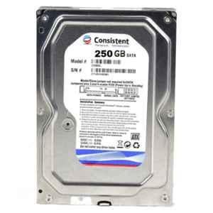 Consistent CT3250SC 250GB Internal Hard Disk Drive