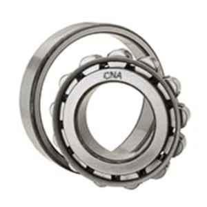 CNA N 310 M Cylindrical Roller Bearing, 110x50x27 mm