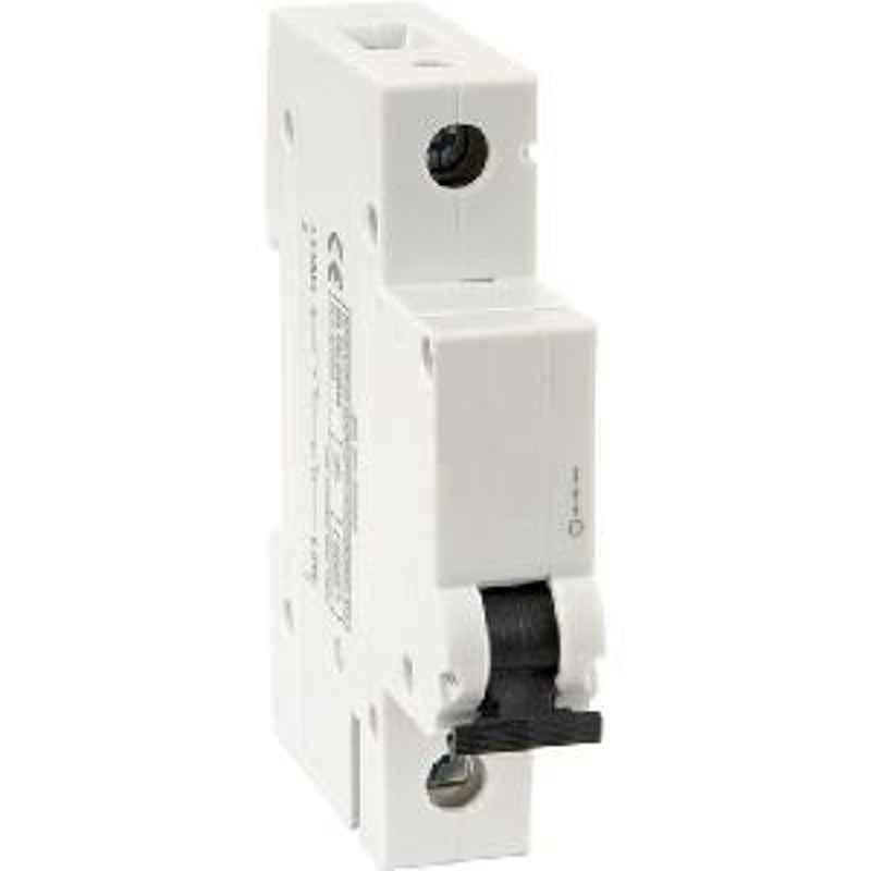Philips 63 A SPN C Curve 10 kA Safetec MCB